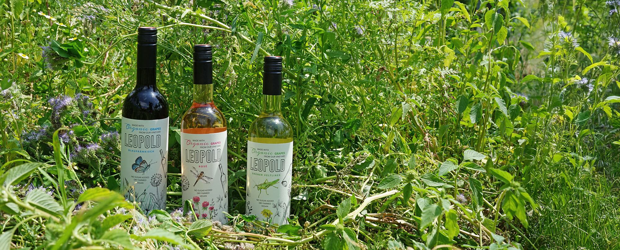 3wines